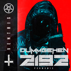 VENTRIS - DUMMGEHEN2192 (PROMO MIX)