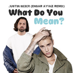 What Do You Mean?