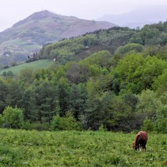 Countryside, Valley Field, Birds, Horse Bells, Irri Sarri, Navarra, Spain