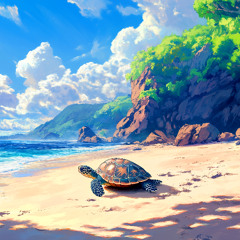 Lofi Beach Walks