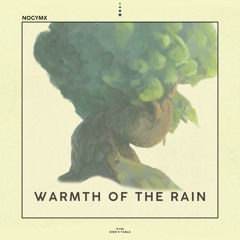 Warmth of the Rain 🌦️ chillhop