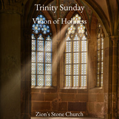 Vision of Holiness