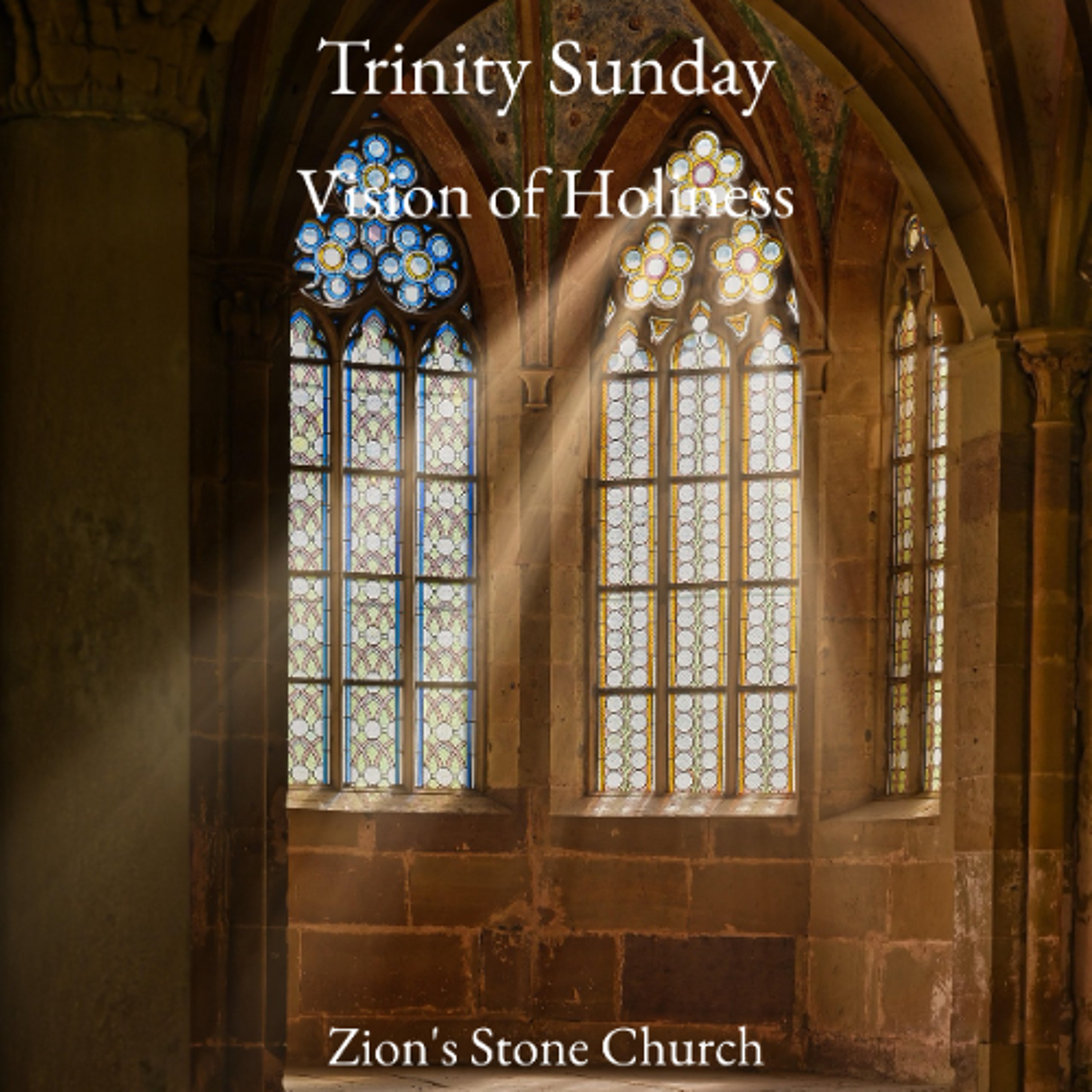 Vision of Holiness