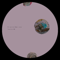 PREMIERE : Nicola Amoruso - Feelin