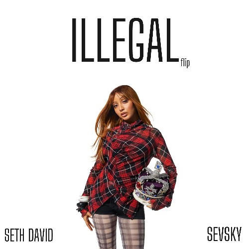 PinkPantheress - Illegal (SETH DAVID & SEVSKY FLIP)