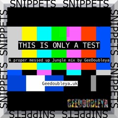 SNIPPETS - A Proper Messed Up Jungle Mix - SNIPPETS