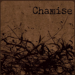 Didyouforget? - chamise