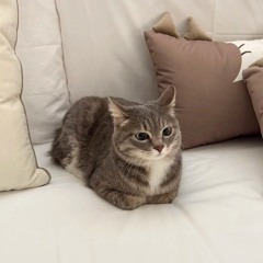 별내열매 [ 사쿠란보 x 8호선 ]