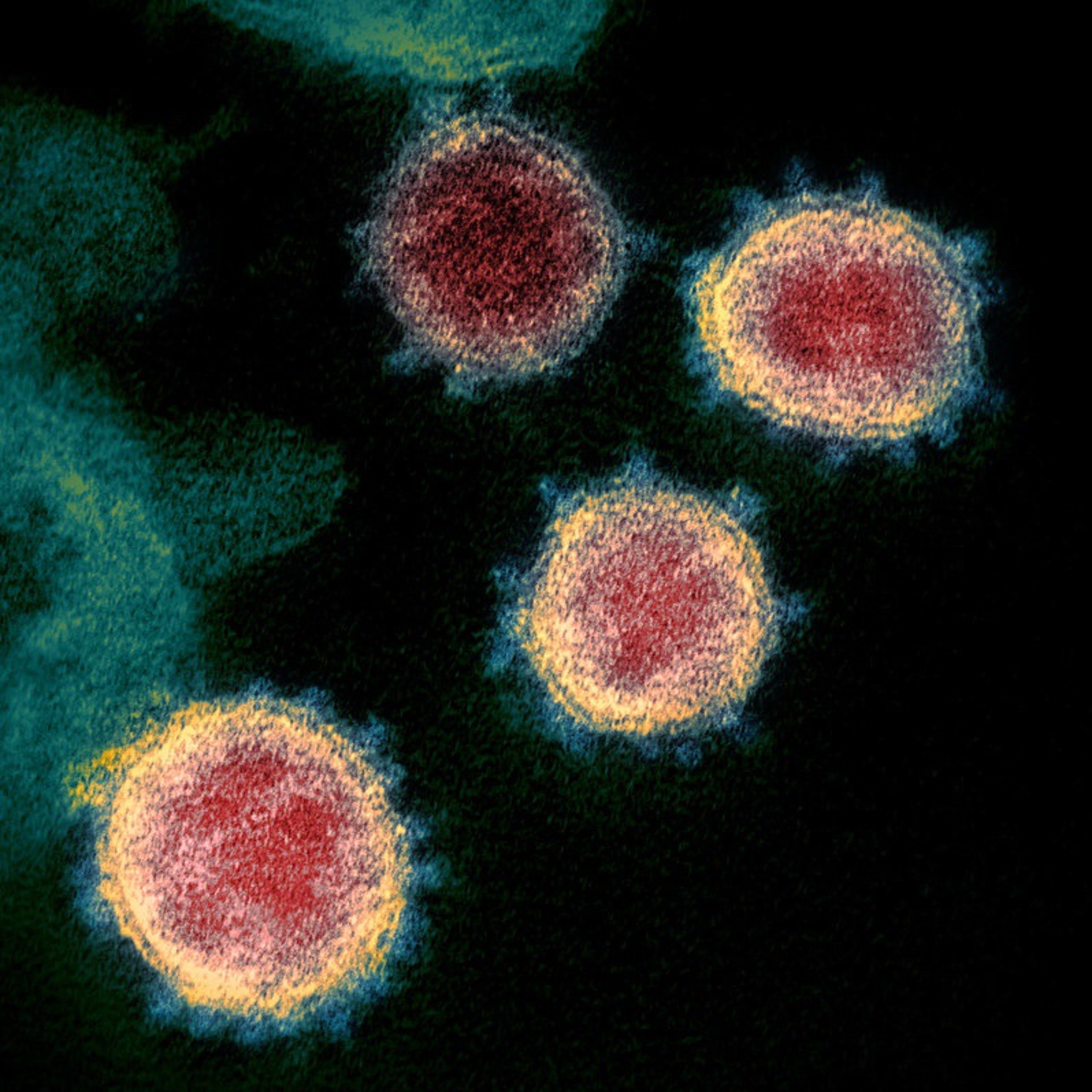 More On Coronavirus & The Stock Market