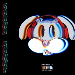 SHE JUST WANNA (feat. JayyBraxx, HeavyCheckCell & JTM998)