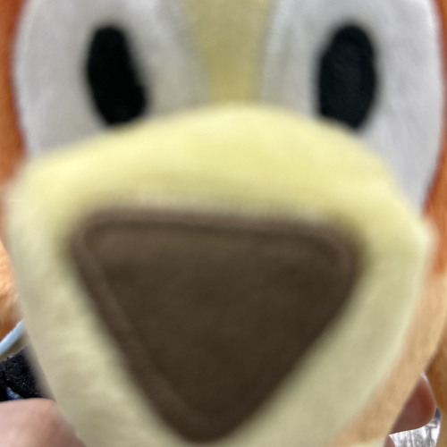 Stream bluey! ruff ruff! by me | Listen online for free on SoundCloud