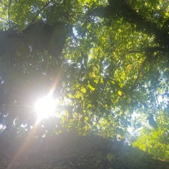 stuck(prod. crowley)