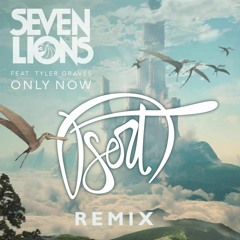 Seven Lions Ft. Tyler Graves - Only Now (DserT Remix)
