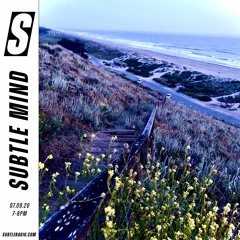 Subtle Mind - Subtle - 07/09/2020