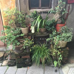 36hz Binaural Calm Track for my friend