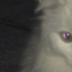 @brokeslou_un_minuto_de_silencio