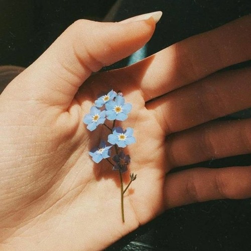 Anh Cứ Đi Đi - Hari Won Lofi By Datz
