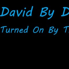 David By Design - Turned On By The Pain (produced by Wisco Sound Audio Productions)