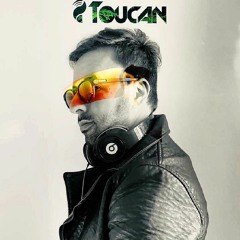 CL  Toucan #6