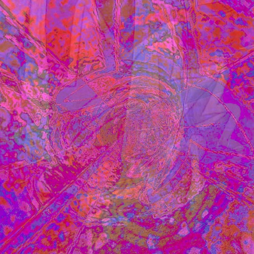 Nutting - January 2024 - 03 God Help Us Simulation