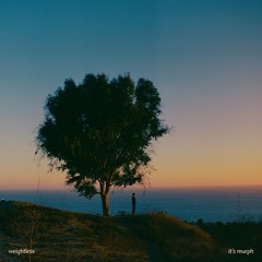 I Wanna Love Ya (Interlude)