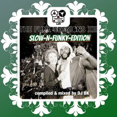 Advent Day 28: DJ BK - Funk Sessions XIII: Slow-N-Funky-Edition