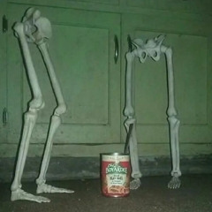 fly away (ft. xannaholik) [fony wallace]