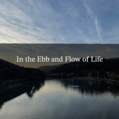 In the Ebb and Flow of Life