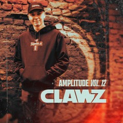Amplitude Volume #12