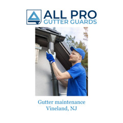 Gutter maintenance Vineland, NJ