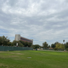 Don't leave - Feat, Neal C, & Steven O