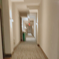halls p.maxim