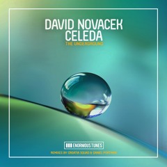 DAVID NOVACEK feat. CELEDA- The Underground (Croatia Squad X Daniel Portman Remix)