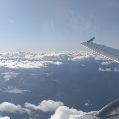 Freedom