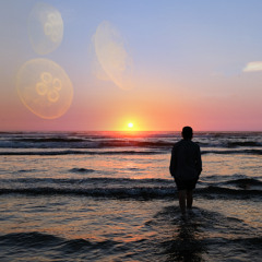 Marine Life