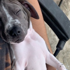 DONTWAKEMEUP (feat.GG)