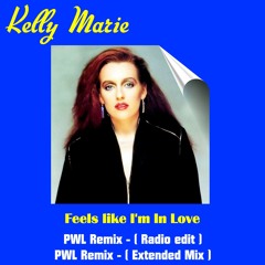 Feels Like I’m In Love (PWL Remix Radio Edit)