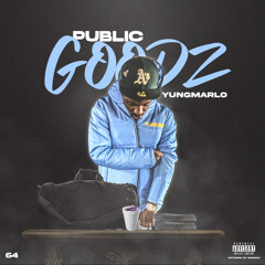 Public Goodz