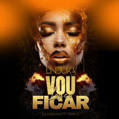 DJ Linduka x Tony Z - Vou Ficar Louco