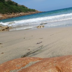 Audio live 15 08 2022