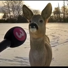 LIKE ME ( Ft KyTn Mazzi, MTB VONTE)