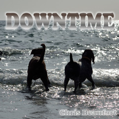 Downtime