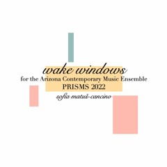 Wake Windows Performed by the Arizona Contemporary Music Ensemble