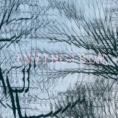 Invincible w/ blackrose (Prod. by Gothreen)