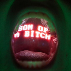 Ron Braga - Thot Bih