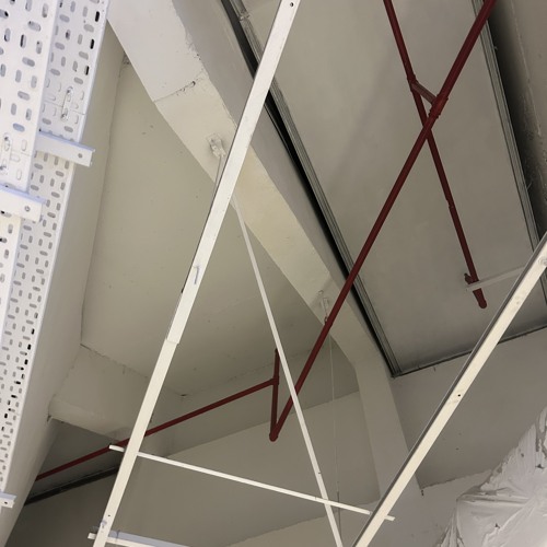 this batch’s last prow