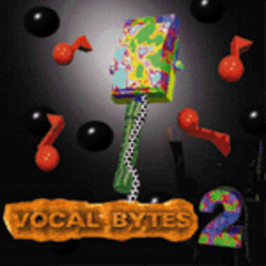 Midi Mark - Vocal Bytes 2 - Track 17