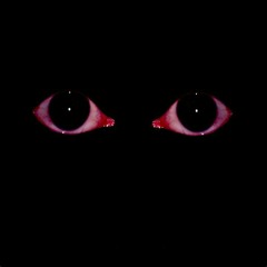 V I R U S