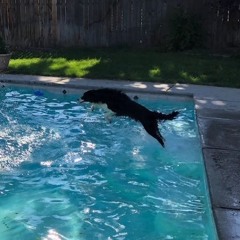 float
