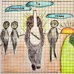 stranger in tears